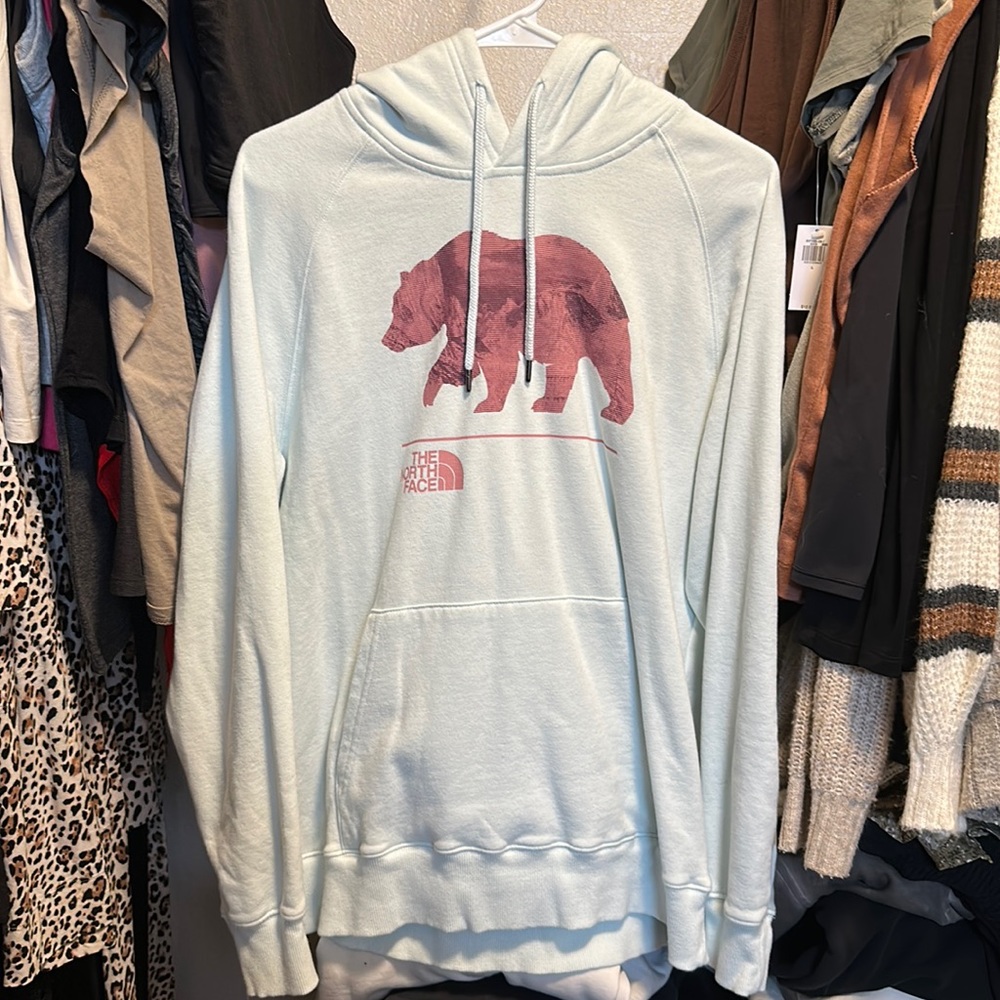 Light Blue North Face Hoodie